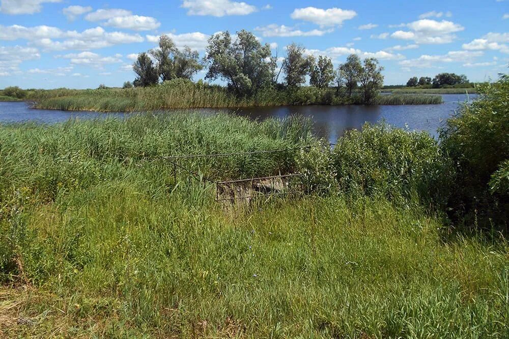 Пашково Липецкая область Усманский район. Село Бреславка Усманского района Липецкой. Село Пашково Усманский район. Липецкая область, Усманский, село Пашково. Погода никольское усманский