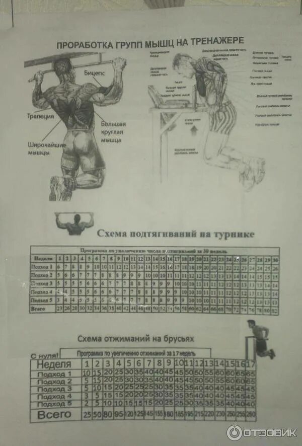 Программа для турника и брусьев на массу