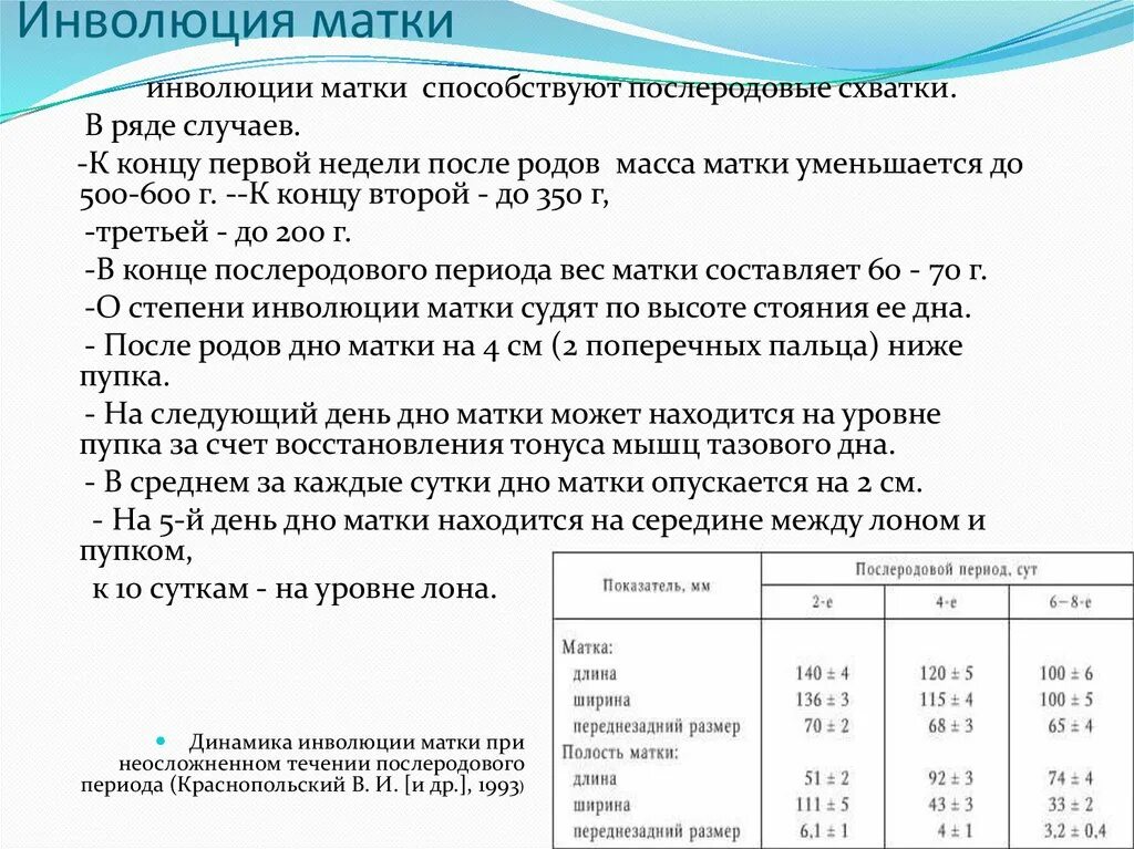 Как сокращается матка после кесарева. Сроки инволюции матки после родов. Инволюция матки в послеродовом периоде. Инволюция матки после родов по дням.