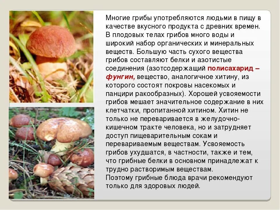 Употребление грибов в пищу. Полезные грибы для человека. В пищу употребляется такой гриб. Грибы в питании человека. Грибы вредные для человека биология.