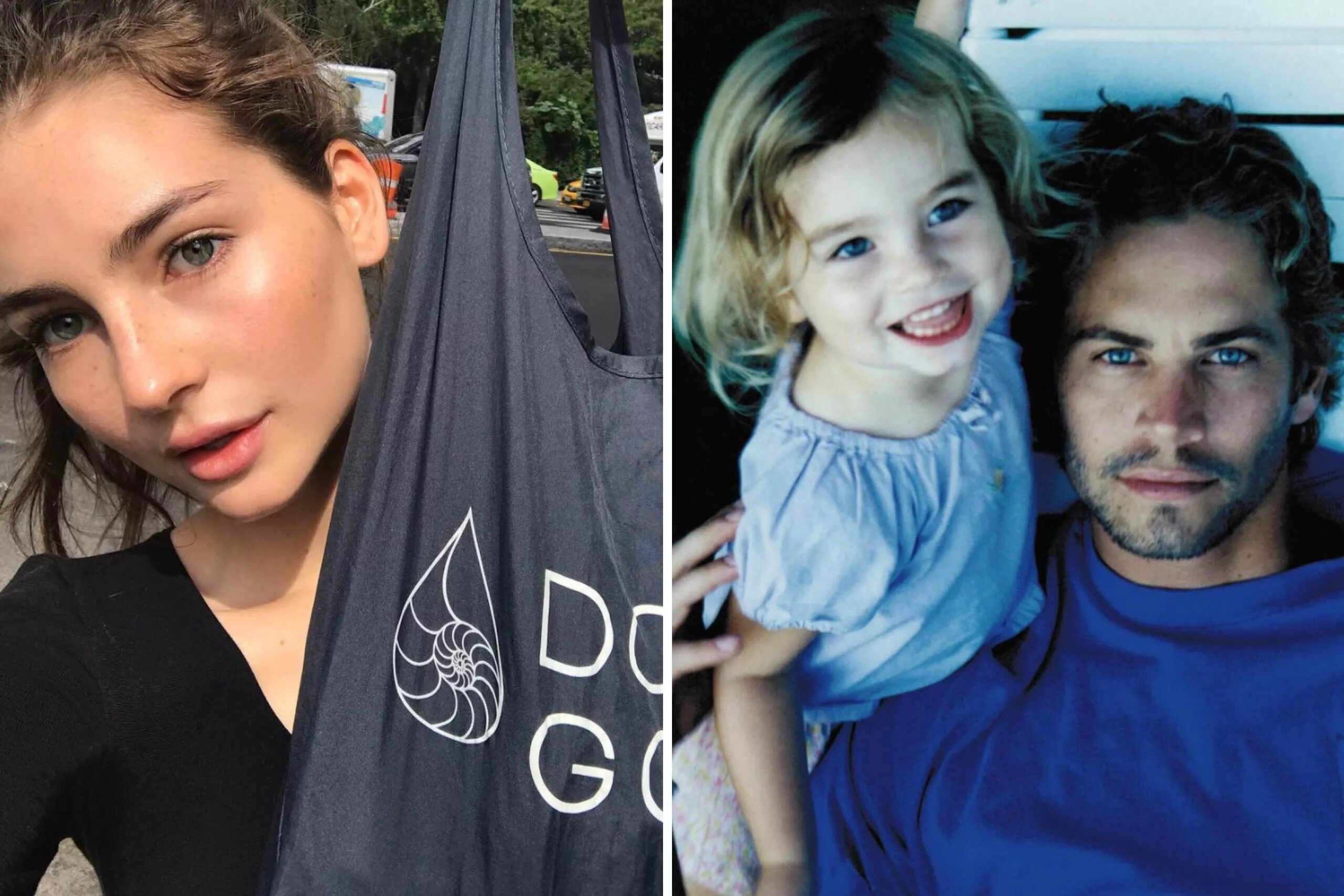 Meadow Walker