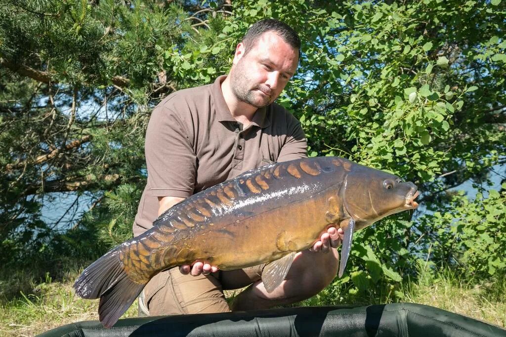 карп 10 килограмм. рыбалка карп в русский. карп 13 кг. карп 13 кг. сазан 17 кг.