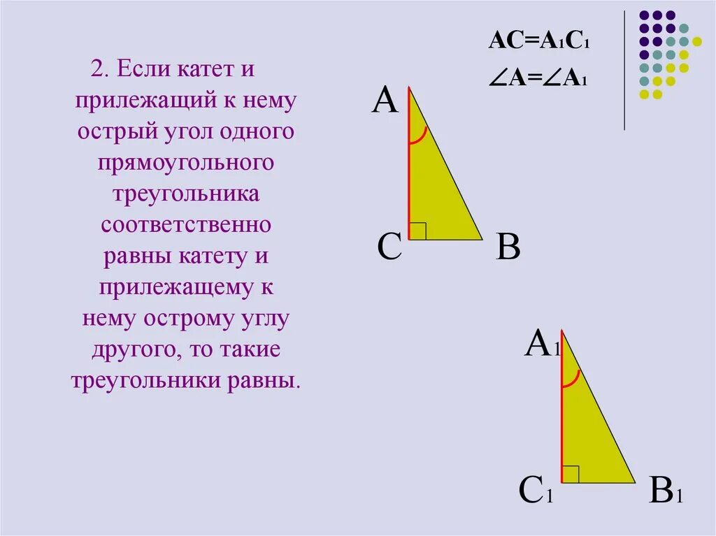 Треугольники равны по катету и углу