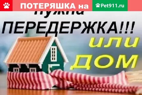 Дом передержка