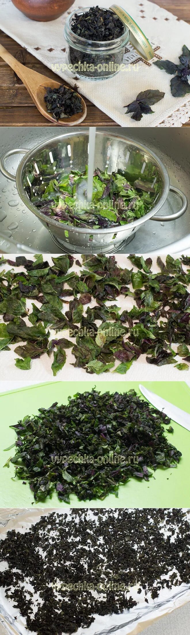 Заготовка базилика. Сушеный базилик заготовка. Лимонный базилик на зиму. Песто из базилика. Закатки с базиликом.