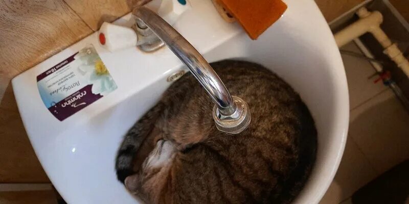 Новочебоксарск опять останется без горячей воды - теперь на неделю - ГТРК Чуваши
