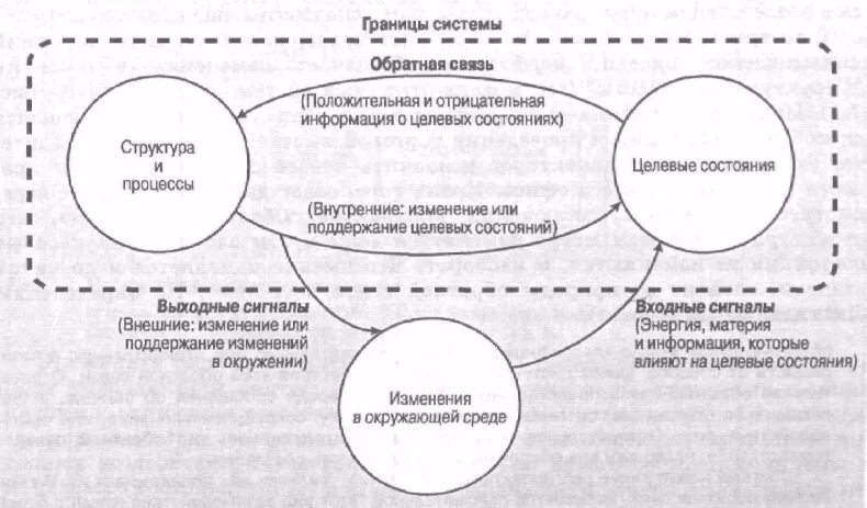 Закрытые и открытые модели. Открытые закрытые и полузакрытые механизмы обратной связи. Границы системы.