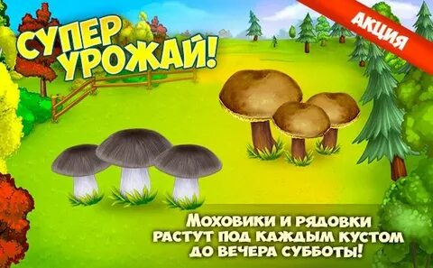 Грибы и кланы