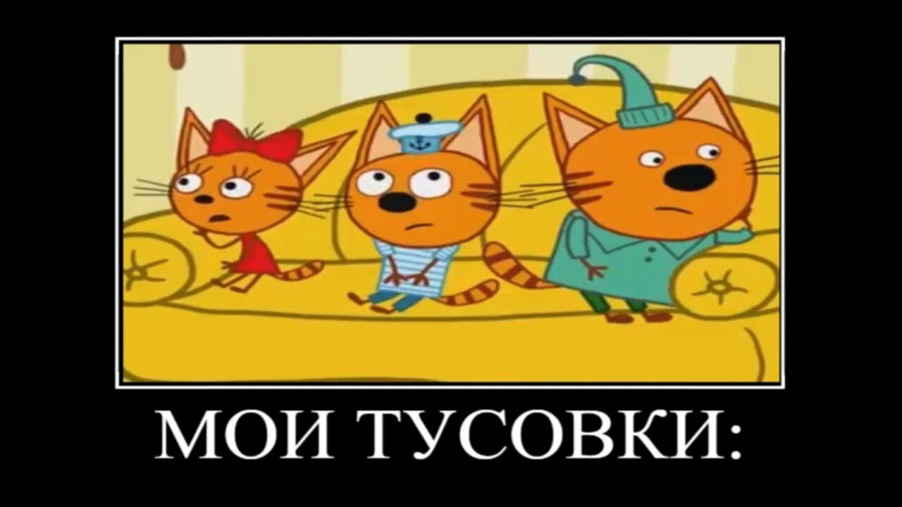 3 кота пример. Три кота демотиватор. муд три кота демотивация. муд три кота демотиватор. муж три кота.