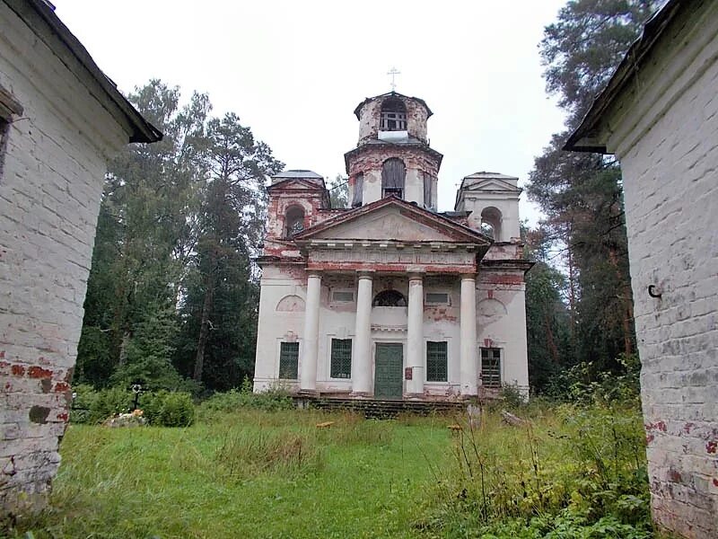 Боровенка окуловский. Боровенка окуловский