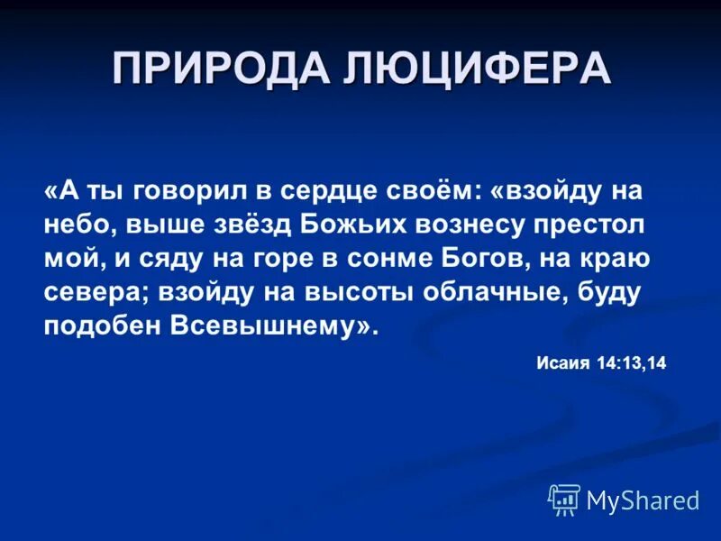 среда творцов