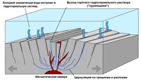 Черные курильщики это гидротермальные источники срединно океанических