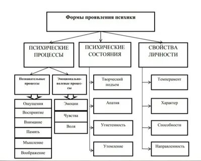 Формы проявления психики процессы