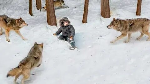 Нападение одиночки