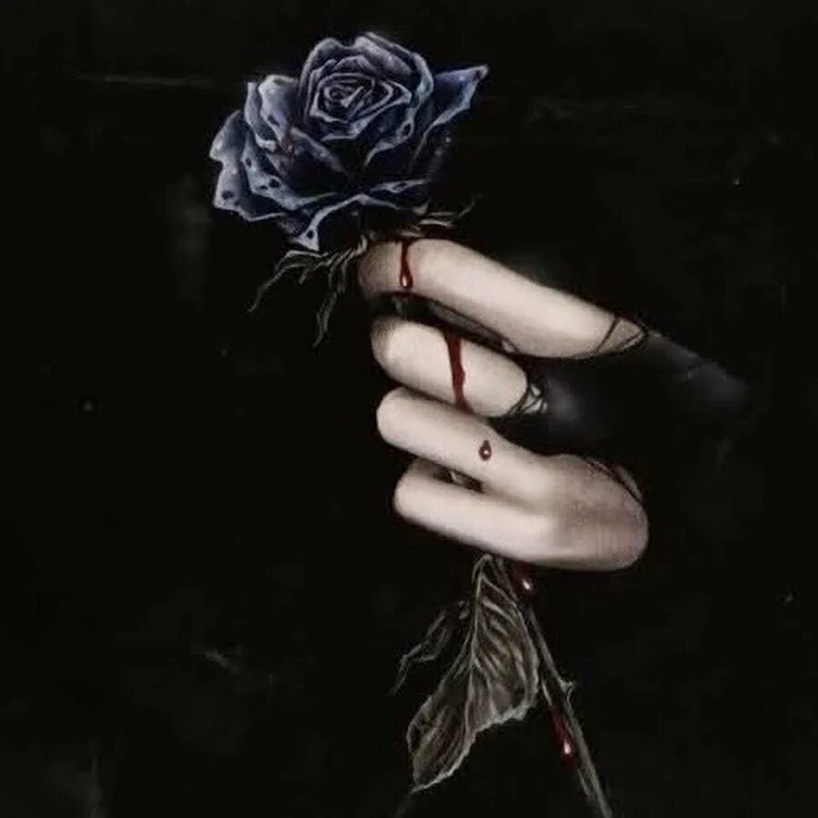 Дарк Роуз Эстетика. Девушка с черной розой.