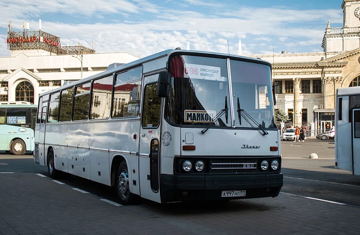 Автобусы краснодар майкоп сегодня. Икарус 250 автовокзал Краснодар -1. Икарус Майкоп Краснодар. Ikarus 250.59 Нальчик. Икарус 250 Краснодар.