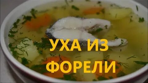Уха с форелью с сыром