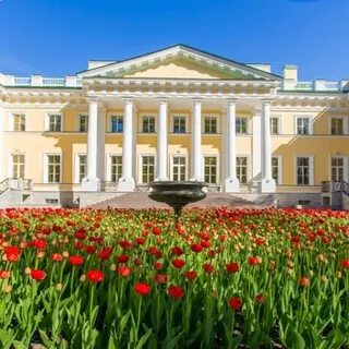 Дворец талантов