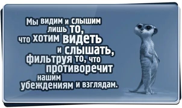 Будете слышать и видеть все. Каждый видит то что хочет видеть цитаты. Каждый слышит только то. Каждый слышит только то что хочет. Каждый видит то что хочет видеть и каждый слышит то что хочет слышать.