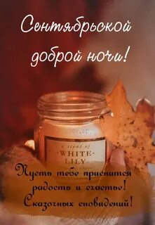 Доброй ноябрьской ночи