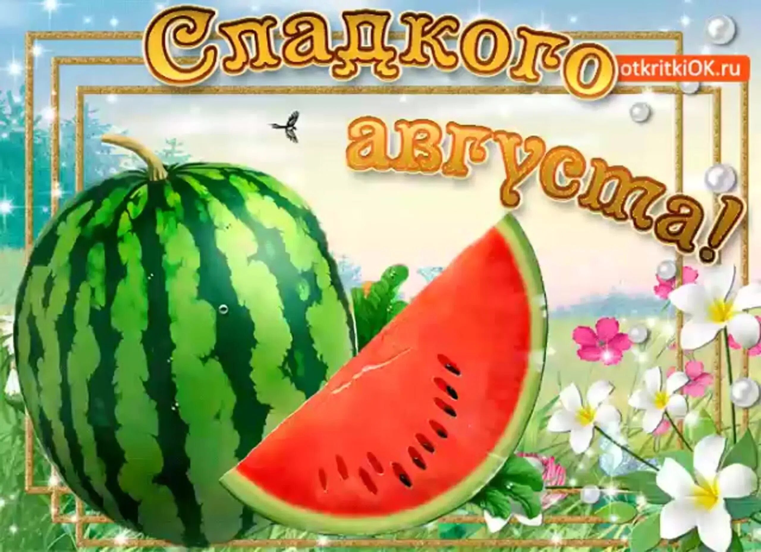 Месяц август. Открытки с началом августа. Открытки конец августа. С началом месяца август. С началом месяца август.