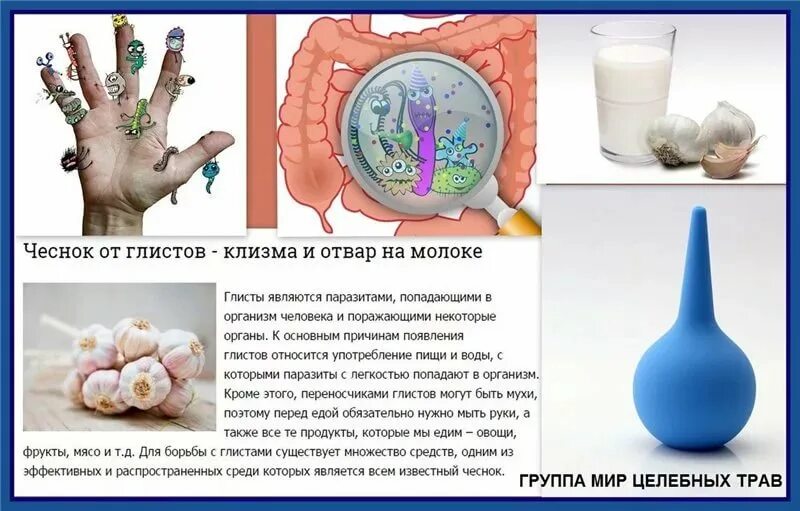 можно ли чеснок от глистов. можно ли чеснок от глистов. можно ли чеснок от глистов. можно ли чеснок от глистов. можно ли чеснок от глистов.