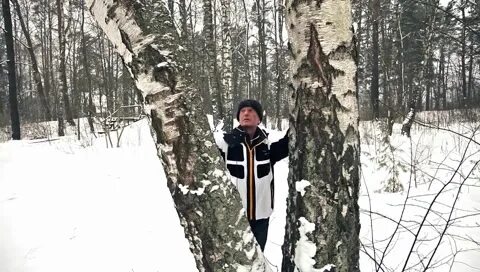 белые снеги задорнов видео. идут белые снеги. белые снеги задорнов видео. белые снеги задорнов видео. михаил задорнов последние снеги видео.