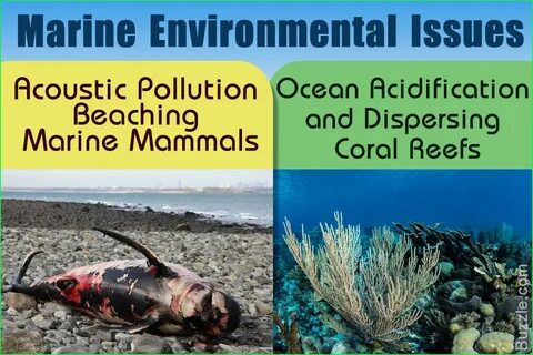 Environmental issues