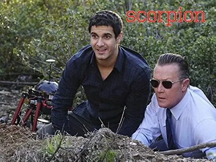 Scorpion 17