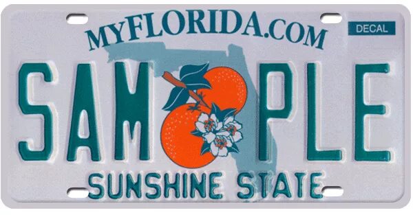 Номерной знак Флорида. Флорида номерной знак чистый. Florida License Plate.