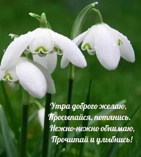 С добрым весенним мартовским утром вторника