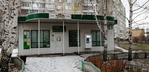 Саранск 11