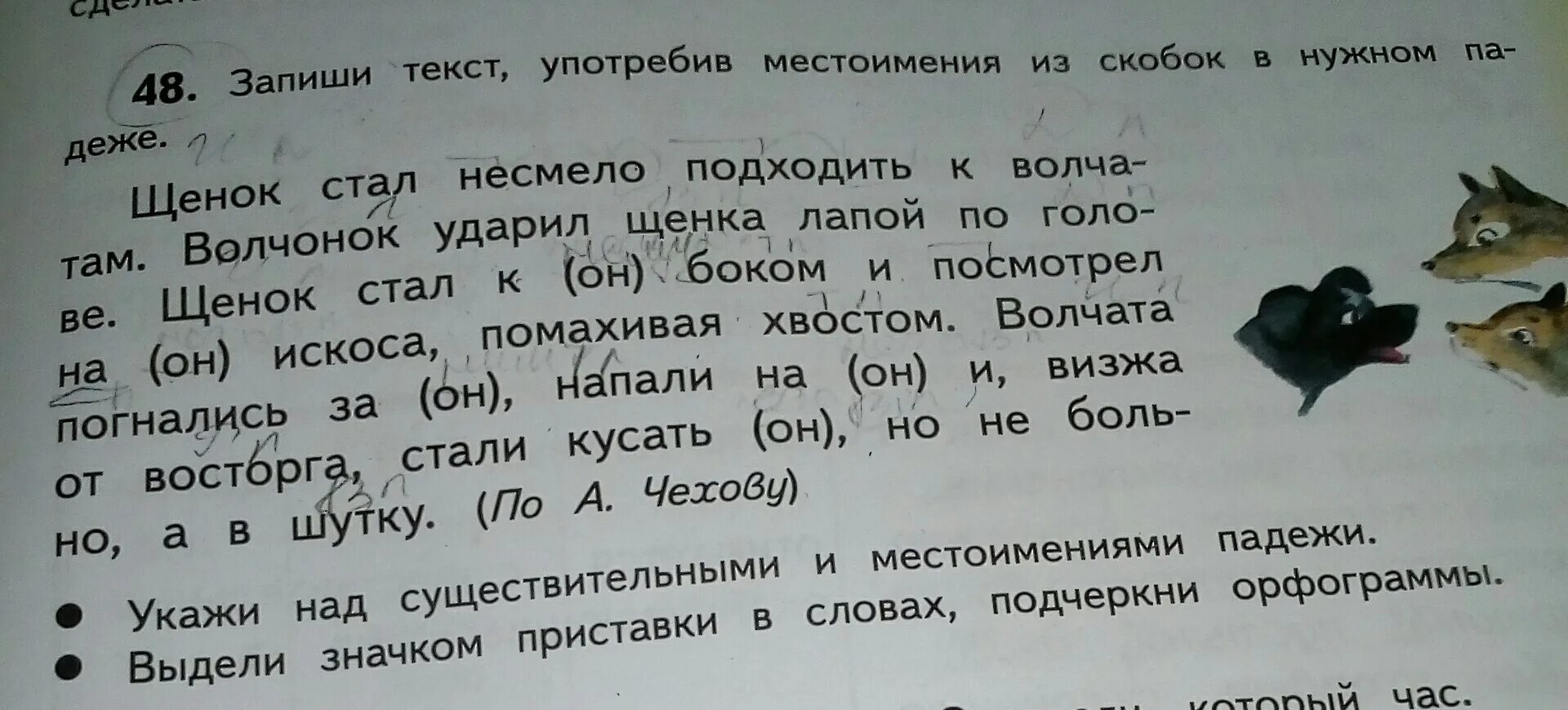 Падеж слова пила. Щенок стал несмело подходить к волчатам. Изложение волчата. Предложение про волчонка. Волчата и щенок изложение.