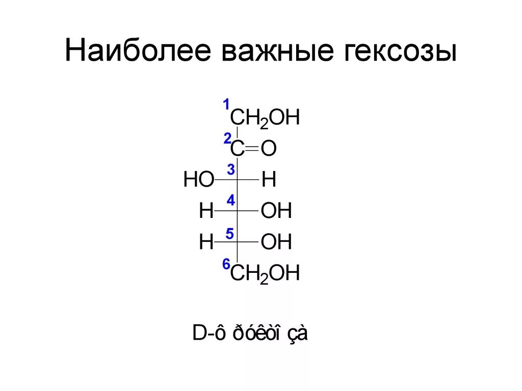 Моносахариды гексозы формула. Важнейшие гексозы. Наиболее важные гексозы. D гексоза. Гексоза это