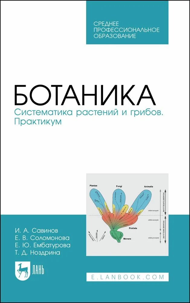 Ботаника систематика растений. Систематика ботаника. Ботаника систематика растений. Систематика ботаника. Подкласс ламииды (lamiidae).