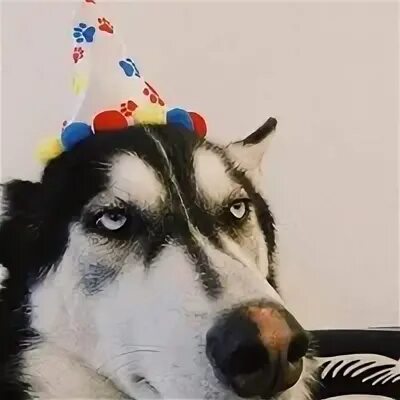Дай 27