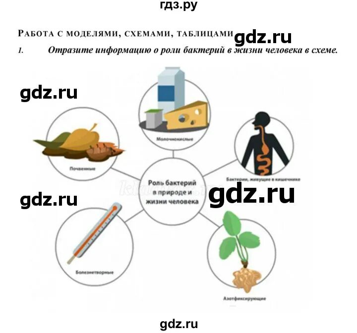 18 Параграфы по биологии.