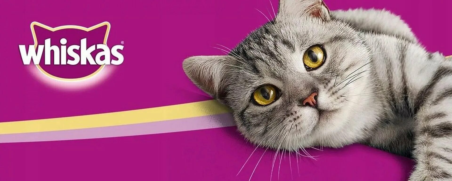 Кольцами дым песня вискас. Реклама вискас. whiskas логотип. реклама корма вискас. реклама корма для кошек вискас.