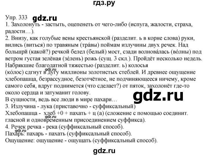 Упр 539 6 класс рыбченкова. Упражнение 333 по русскому языку 6 класс. Русский язык 6 класс рыбченкова учебник.