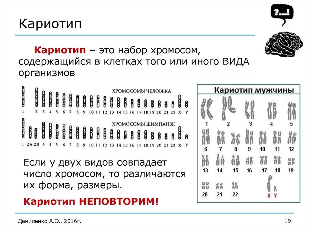 Количество хромосом в кариотипе человека. Кариотип набор хромосом 2n2c. Кариотип человека. Кариотипирование.. Нормальный кариотип человека содержит. Хромосомная карта кариотип.