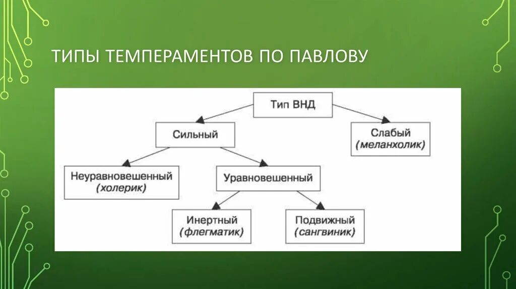 Типы темперамента по Павлову. Схема темпераментов по Павлову. Типы темперамента по Павлову схема. Теория темперамента Павлова. Типах темперамента и п павлова