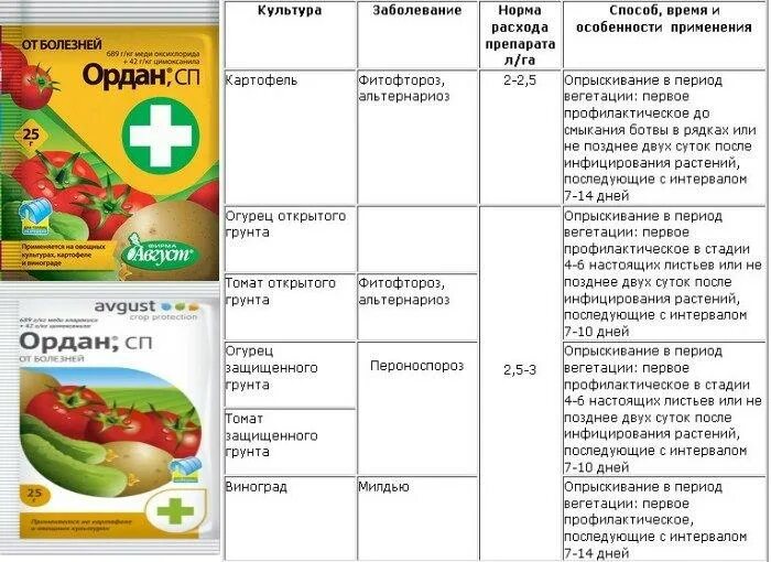 Огурцы после томатов можно. Препарат Ордан для томатов. Фунгицид Ордан, 25 г, avgust. Фунгицид картофель Ордан. Препарат Ордан от фитофторы.