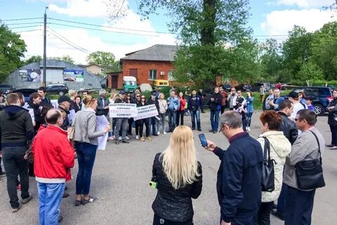 Видное последние новости