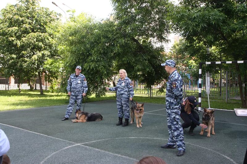 Кинолог с собакой в крокусе. Центр кинологической службы УВД по ЗАО. Кинолог ОБППСП УВД по ЗАО. Кинолог Москва. Выступление кинологов.