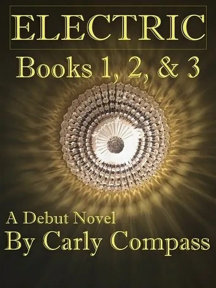 Beginning book value. Electric book. electronic book. beginner book.