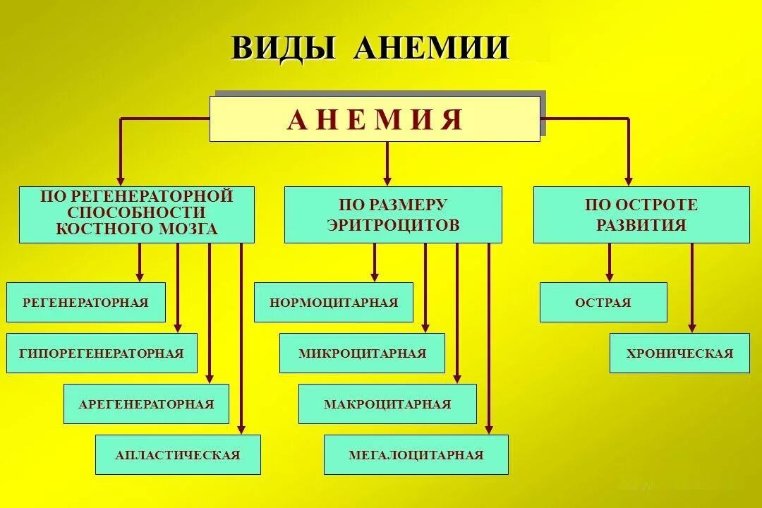 Формы железодефицитной анемии. Виды анемий. формы анемии. виды железодефицитной анемии. классификация анемий у детей.
