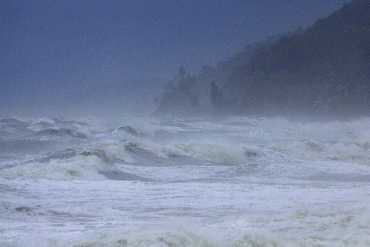 южная мгла. мглу москва. море туман шторм. снег мгла. южная мгла.