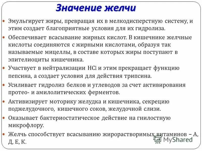 пепсин желчь