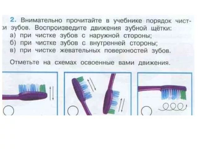 Покажи стрелками как чистить зубы. Покажи стрелками как чистить зубы
