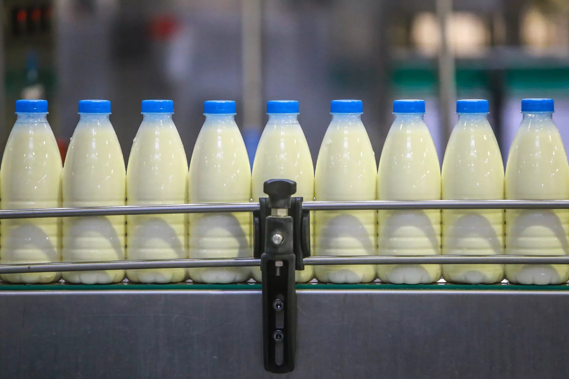 Как перерабатывать молочную продукцию